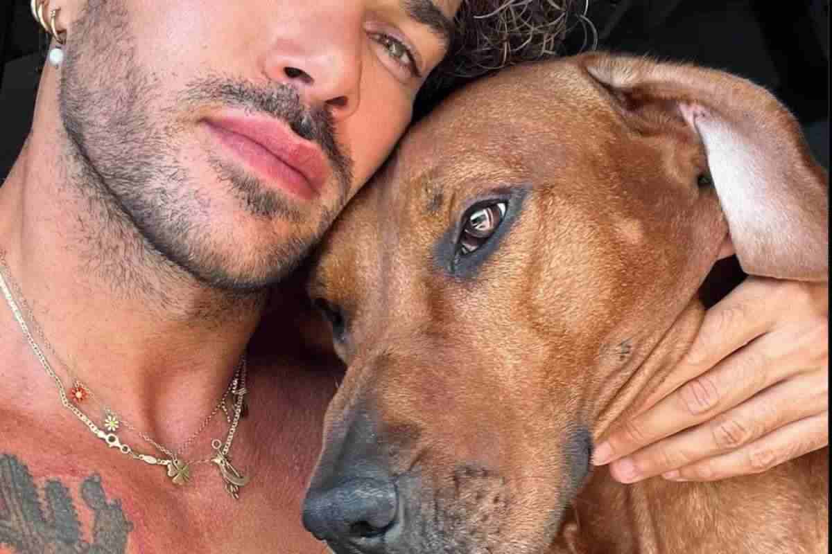 cane Claudio Sona